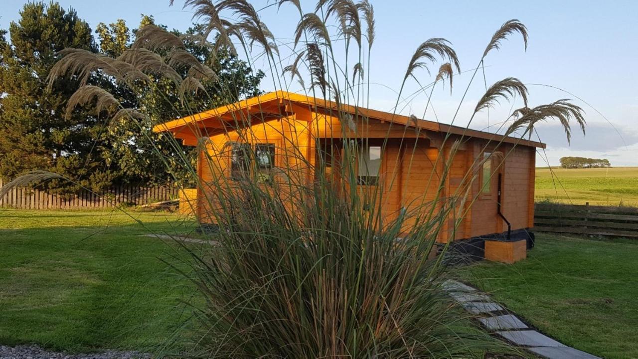 Canterra Cottage Tain Zewnętrze zdjęcie
